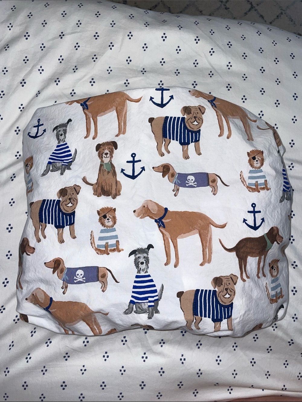Pottery Barn Toddler/Crib Sheet Set